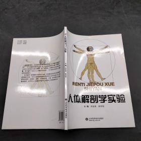 人體解剖學(xué)實(shí)驗(yàn)。