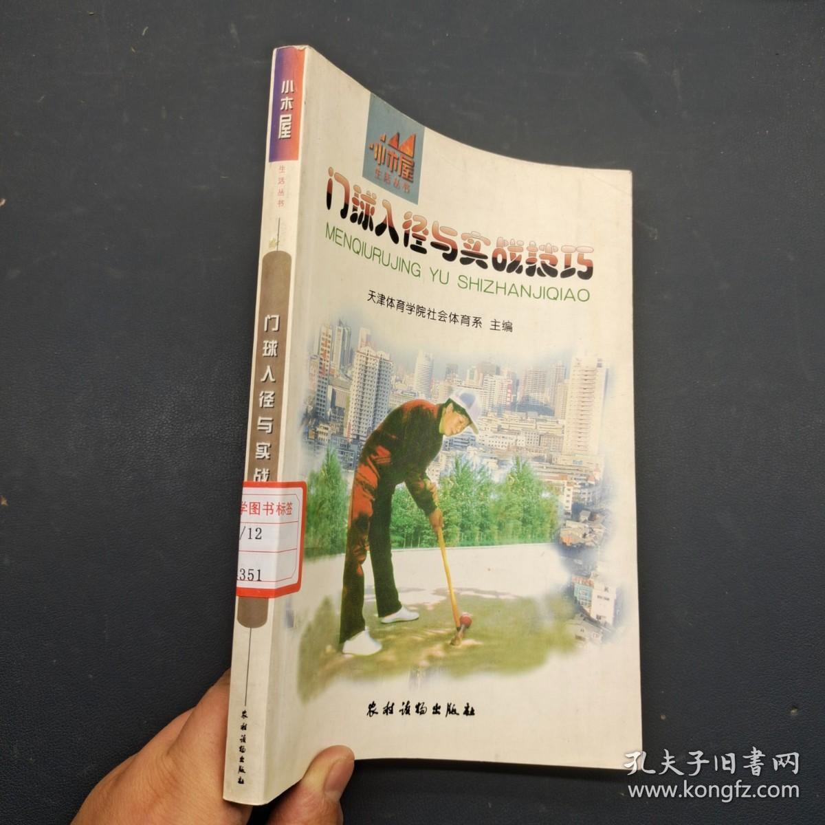 门球入径与实战技巧