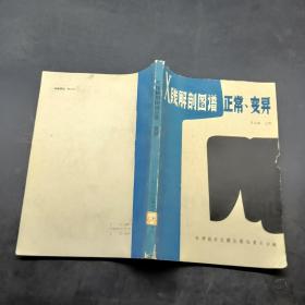 X線解剖圖譜正常變異