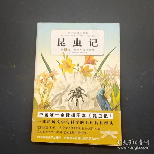 昆虫记第九卷： 圆网蛛的电线报