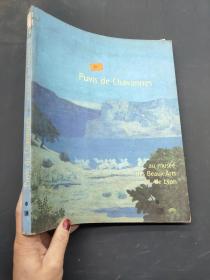 《皮埃尔·德·夏凡纳》（ Puvis de Chavannes au musee des Beaux-Arts de Lyon）