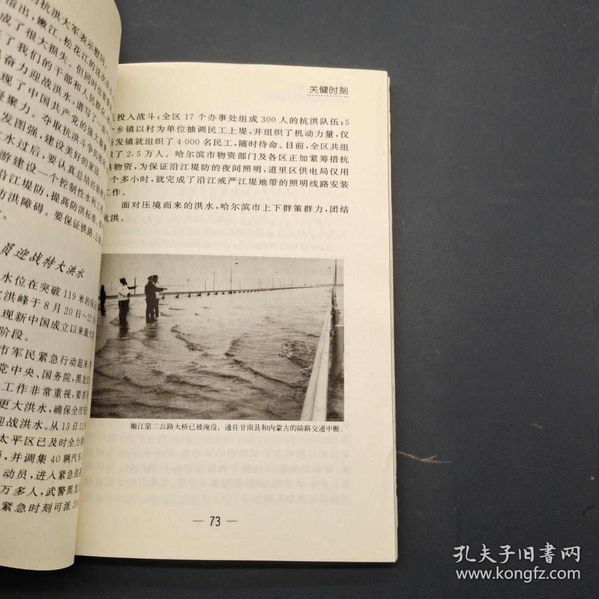 大洪水 1998中国军民抗洪速写