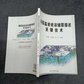 碳酸盐岩岩溶储层描述关键技术