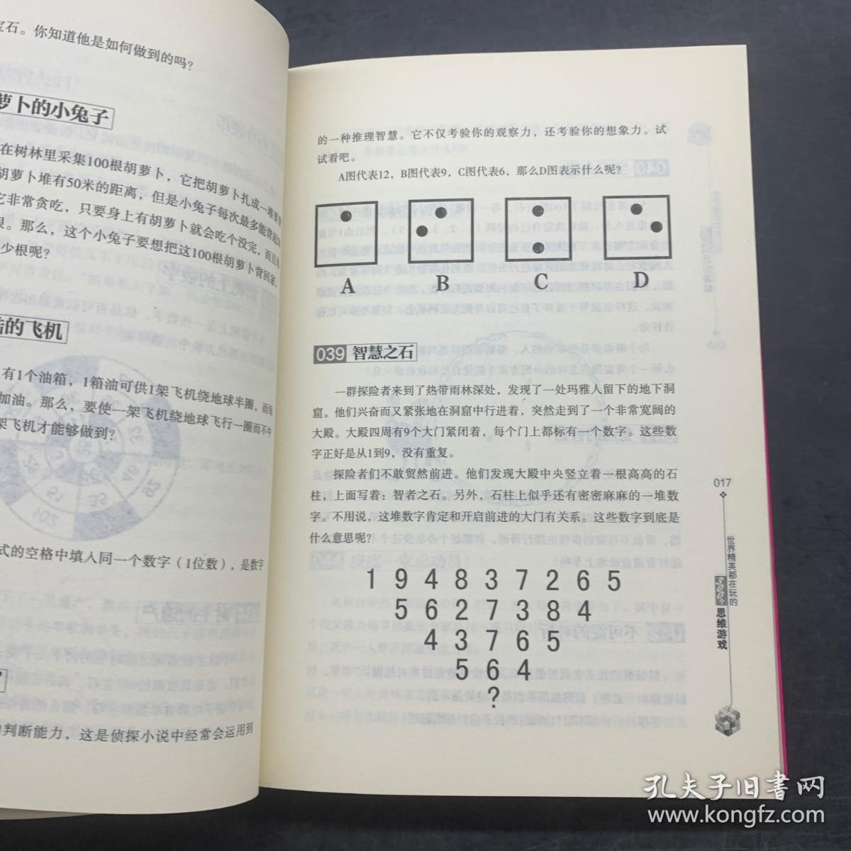 世界精英都在玩的300个思维游戏