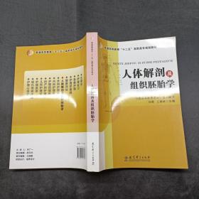 人體解剖及組織胚胎學