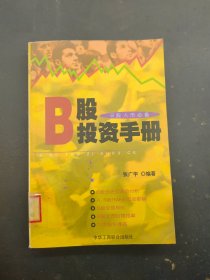 B股投资手册