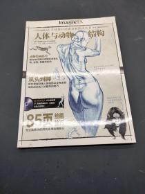 人体与动物结构 85页绘画技巧