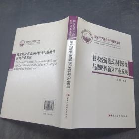 技术经济范式协同转变与战略性新兴产业发展