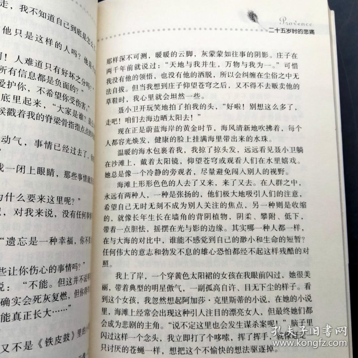 我的心留在普罗旺斯