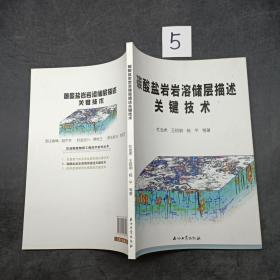 碳酸盐岩岩溶储层描述关键技术