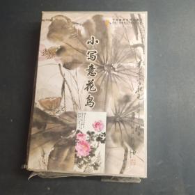 詹仁左·小写意花鸟（原盒十碟装DVD）光盘