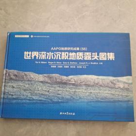 AAPG地质研究成果56：世界深水沉积地质露头图集