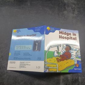 midge in hospitai