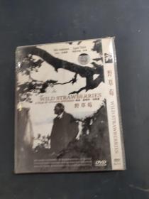 野草莓 DVD光盘