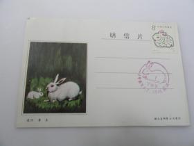 丁卯年兔首日戳明信片