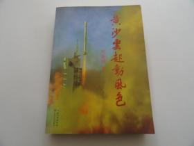 黄沙云起动风色