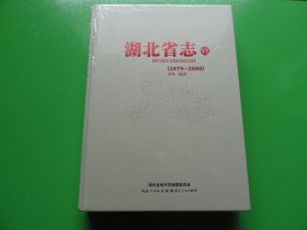 湖北省志33 1979-2000 卫生 体育