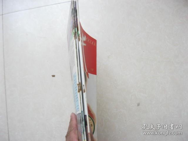 精武杂志  1996年  9期.11期.12期  三本合售