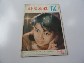 科学画报（1981年12期）