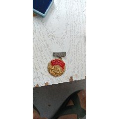 1958年上海市妇女建设社会主义积极分子代表会议