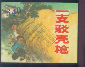 一支驳壳枪