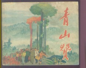 青山赞