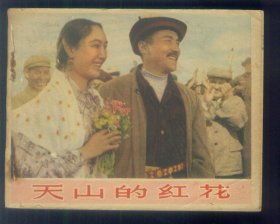 天山的红花