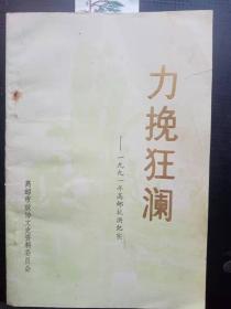 力挽狂澜—1991年高邮抗洪纪实（高邮文史资料11）