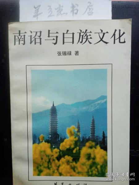 南诏与白族文化： 从白族家谱看南诏大理国洱海地区的白蛮大姓 ，诏国王蒙氏与白族古代姓名制度研究， 南诏大厘城河蛮名家大姓世系考， 白族家谱及其研究价值 ，白族古代碑刻概述 ，南诏大理国婚俗简论 ，论白族婚姻制度的演变， 白族对鱼和海螺的原始崇拜初探 ，南诏国密僧阿吒力考， 鹤庆县白族崇拜“本主”调查， 古代白族大姓佛教之阿吒力， 大理佛教漫谈 ，论白族古老盛典“火把节”， 大理马帮纵横谈 ，