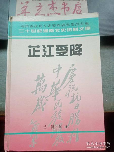 芷江受降· 二十世纪湖南文史资料文库④