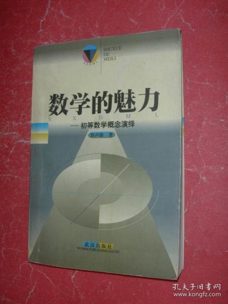 数学的魅力——初等数学概念演绎（99年1版1印，非馆藏，9品）