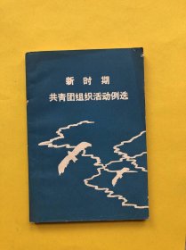 新时期共青团组织活动例选