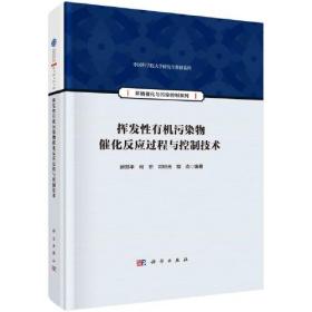 挥发性有机污染物催化反应过程与控制技术