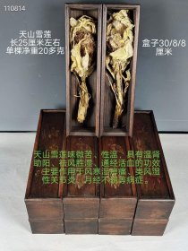 194_天山雪莲十盒，天山雪莲味微苦、性温，具有温肾助阳、祛风胜湿、通经活血的功效，主要作用于风寒湿痹痛、类风湿性关节炎、月经不调等病症。