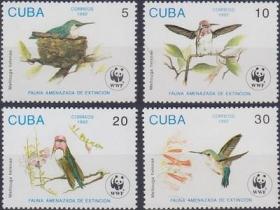 古巴 1992年 世界野生动物基金会 WWF 吸蜜蜂鸟 4全新