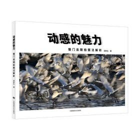动感的魅力：慢门追随摄法解析(16开平装 全1册)