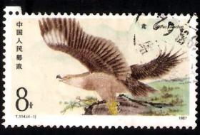 【北极光】T114（4-1）猛禽：鸢-上品信销邮票-动物专题收藏=实物拍摄