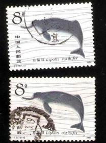 【北极光】T57（2-1）白鳍豚-信销邮票-优惠邮品-动物专题收藏- 实物扫描