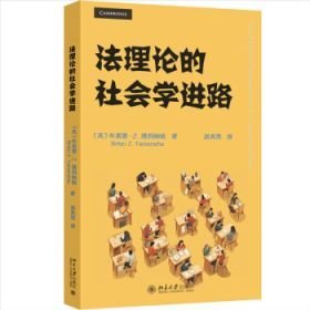 法理论的社会学进路 法学理论 布莱恩·塔玛纳哈（32开 全1册）