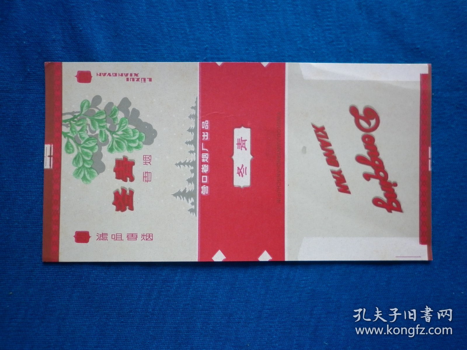 冬青