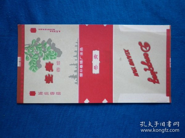 冬青