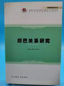 印巴关系研究【书店库存书 全新 品相佳】