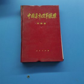 中国县市改革纵横天津卷