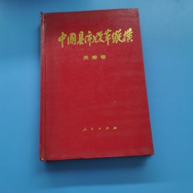 中国县市改革纵横天津卷