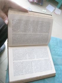 中国近代史词典
