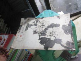 荣宝斋画谱马万里绘  花卉部分