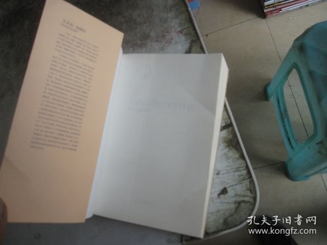 呼啸山庄英文原版英语读物正版原著未删减原版书籍初中生高中必读名著课外书阅读青少年版书籍世界名著书