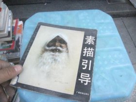 素描引导