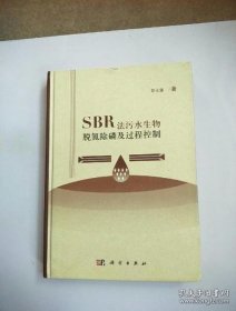 SBR法污水生物脱氮除磷及过程控制