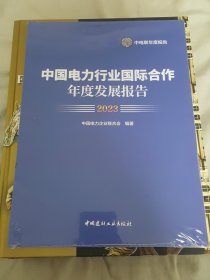 2023中国电力行业国际合作年度发展报告